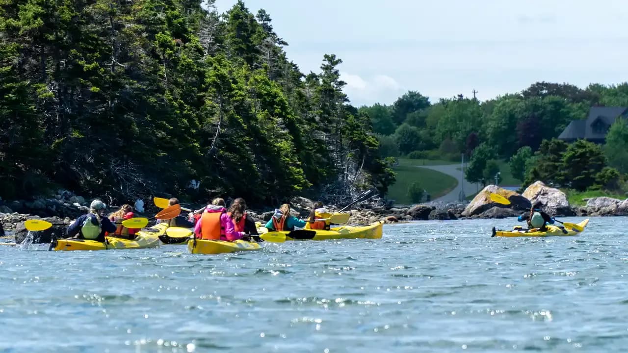 Ocean Quest Adventures